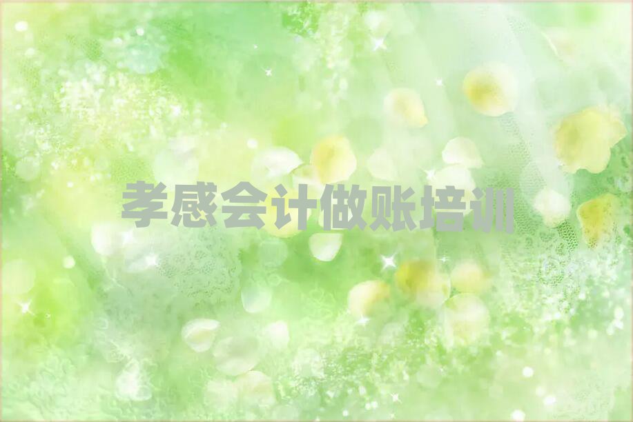 6月孝感孝南区学会计做账去哪里学