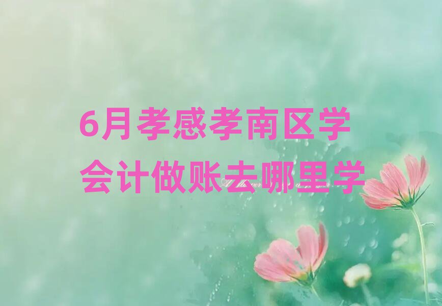 6月孝感孝南区学会计做账去哪里学