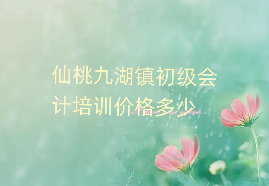 仙桃九湖镇初级会计培训价格多少