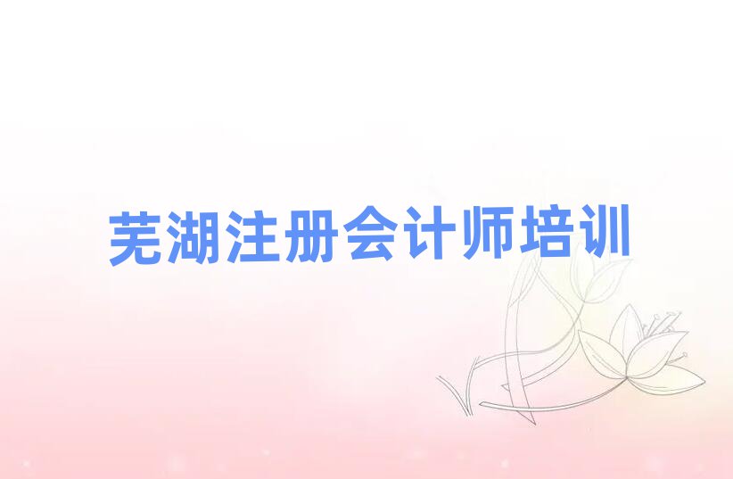 2025年芜湖三山区注册会计师芜湖三山区那个辅导机构好