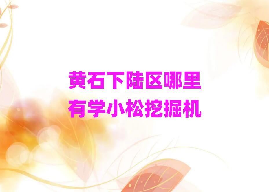 ʯ½ѧСھ