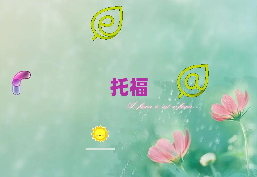 иҪǮ