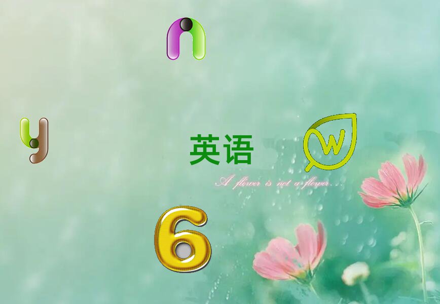 2020ɽӢѧУļҺ