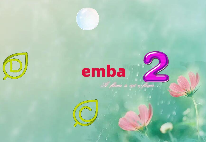 2018йѧѧEMBAѵ