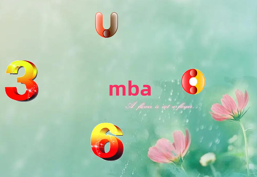 MBAѵļҺĸ