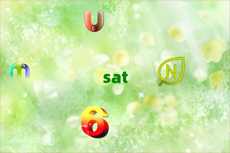 2018ѧsat