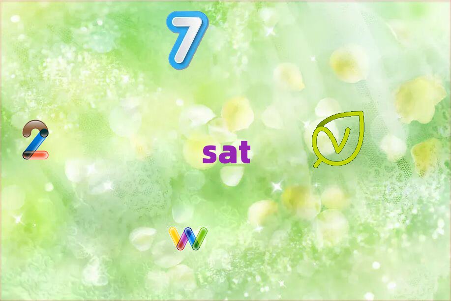 2019ѧsat